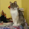 Отзыв от Эльвира Шубина